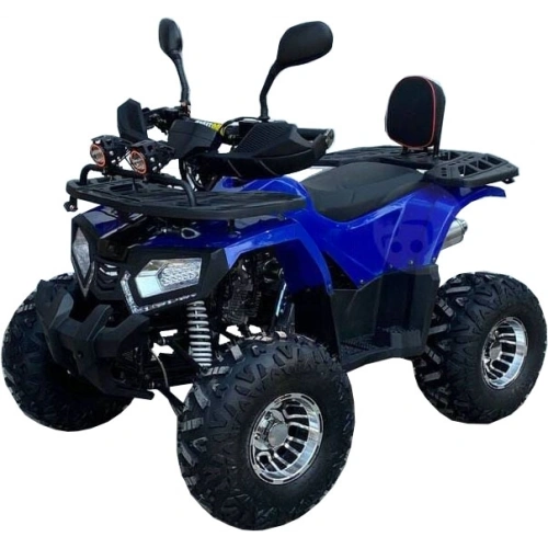 Квадроцикл GRIZZLY Aerox 125cc New 2022